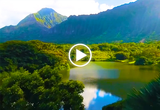 6008集团官方网站能源宣传片