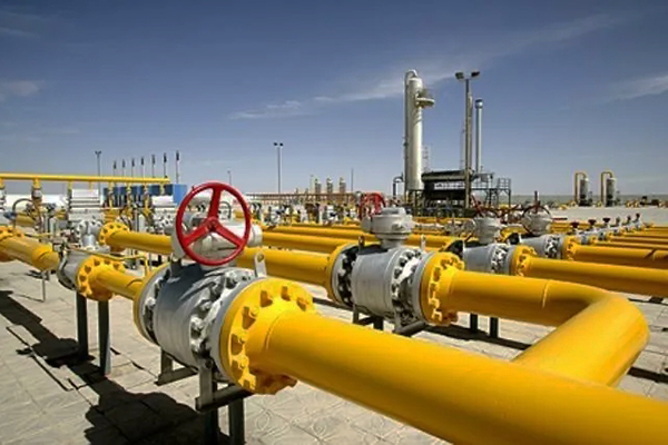 6008集团官方网站(中国)股份有限公司