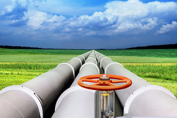 6008集团官方网站(中国)股份有限公司