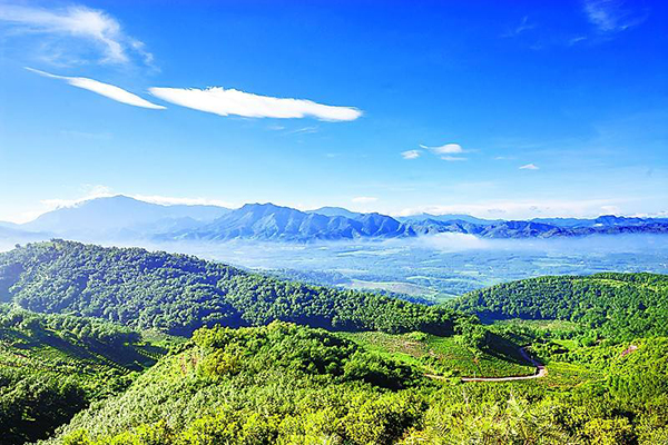 6008集团官方网站(中国)股份有限公司