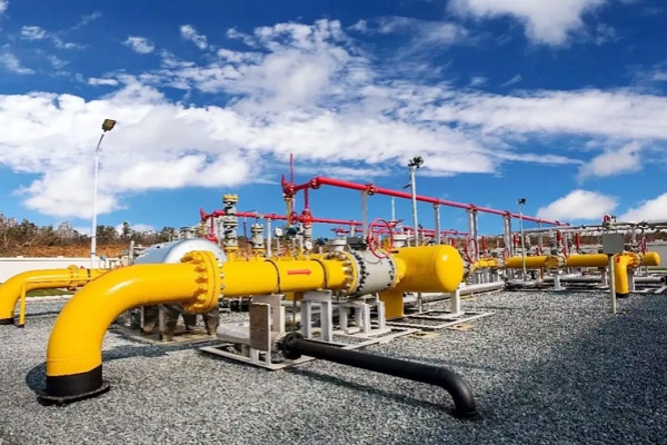 6008集团官方网站(中国)股份有限公司