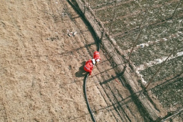 6008集团官方网站(中国)股份有限公司